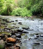 North Mills River, NC